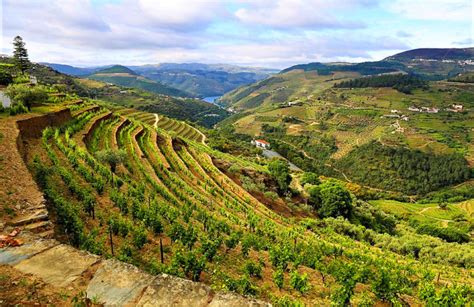 Douro Valley Self-guided Hiking, Portugal. Wine Trails And Independent Walking Tours.