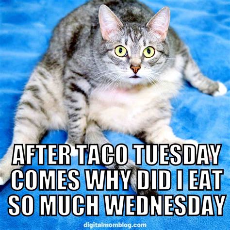 Taco Tuesday Comic