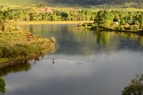 MISSOURI RIVER MONTANA Fly Fishing | Headhunters Fly Shop Montana