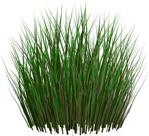 Grass Png 27 Green