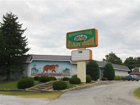 Mammoth Cave Wildlife Museum - Cave City, Kentucky