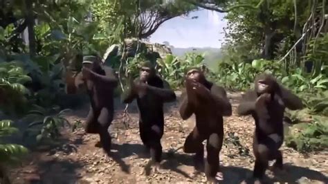 Best Dancing Monkeys Ever - YouTube