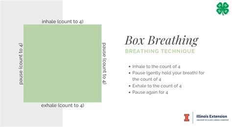 Learn and practice box breathing technique | Illinois Extension | UIUC
