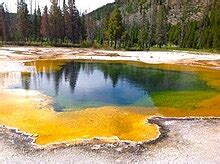 Archaea - Wikipedia