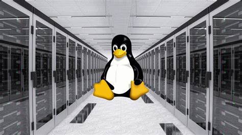 Best Linux OS for Your Server | Hi Tech Gazette