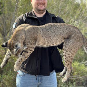 Texas Bobcat Hunt | AfricaHunting.com