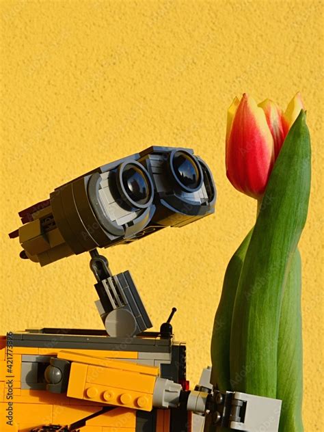 LEGO Wall-E robot from Pixar animated movie adoring real orange tulip flower, bright yellow wall ...