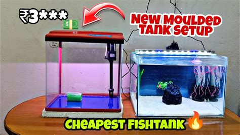 Moulded Fish Tank For *RARE VARIETY*French Rose PetalTail Bettafish 😍🔥|Nikhil Patle #petsvlog # ...