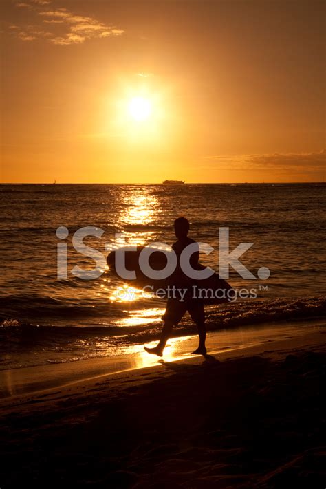 Sunset Surfer Silhouette Stock Photo | Royalty-Free | FreeImages