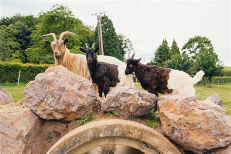 Freizeitparks Saarland: 5 tolle Kinderparks für Familien