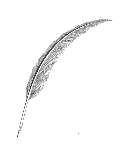 Free Quill Pen Cliparts, Download Free Quill Pen Cliparts png images, Free ClipArts on Clipart ...