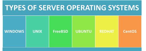 Features and types of server operating systems - Know Computing