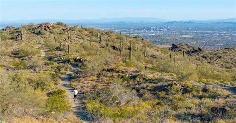 Best Hiking Trails in Phoenix, Arizona