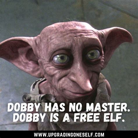 Dobby quotes (2) - Upgrading Oneself