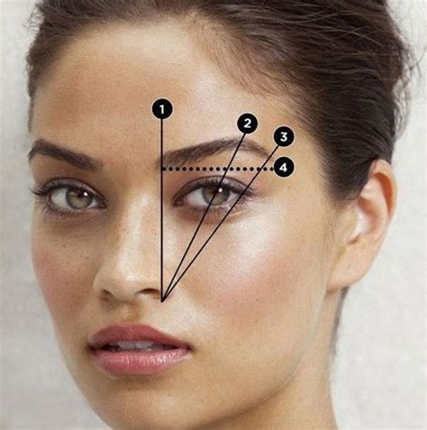 Fitness 4 Ever: 16 Eyebrow Diagrams That Will Explain Everything To You