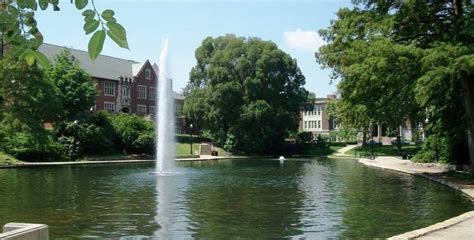 Jessica Witkin | Ohio State University e-Portfolio