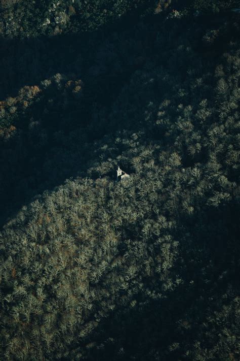 Aerial Photography of Forest · Free Stock Photo