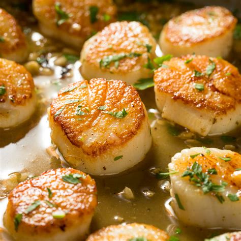 Sea Scallops - Wild Dry Pack Sea Scallops - Sizzlefish