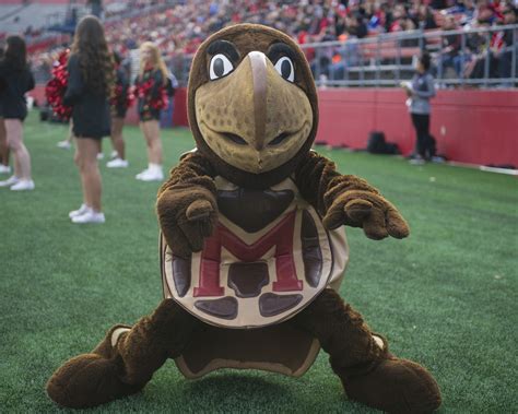 Maryland Football: Maryland Terrapins Football Mascot