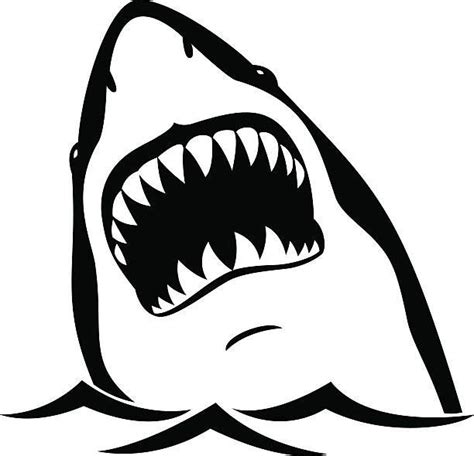 Black shark isolated on white background | Shark illustration, Shark ...