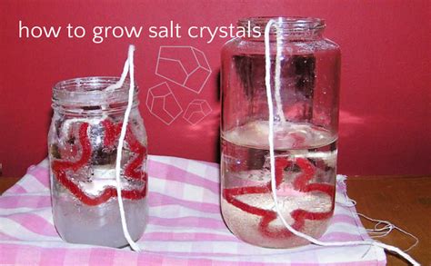 How to Grow Epsom Salt Crystals: Kids Science Experiment