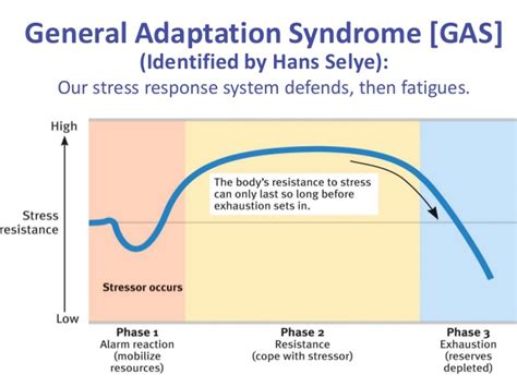 Eustress, I stress, We All Stress- And We Adapt To It — Musicians' Health Collective