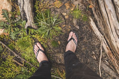 My Hiking Boots | Follow me on Instagram: instagram.com/dan_… | Flickr