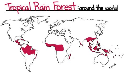 Tropical Rainforest Location World Map