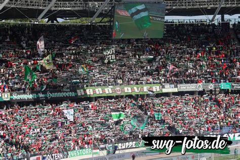 Information on the fans of Hannover