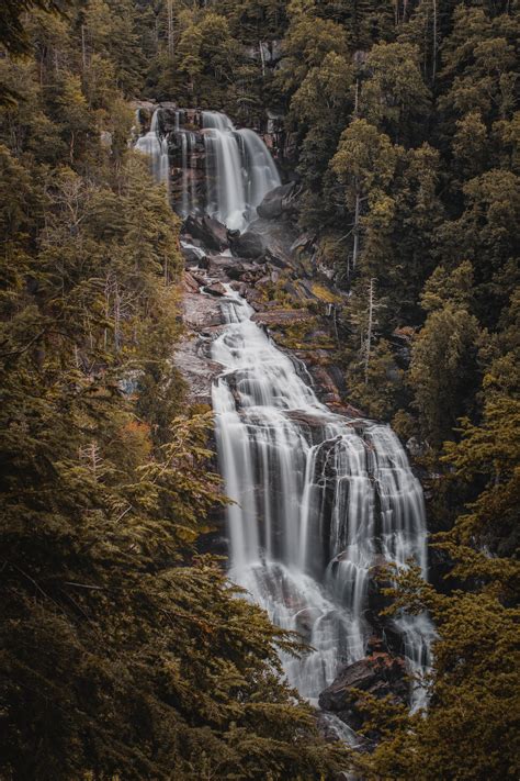 Whitewater falls in North Carolina [OC] [3265 x 4898] : r/EarthPorn