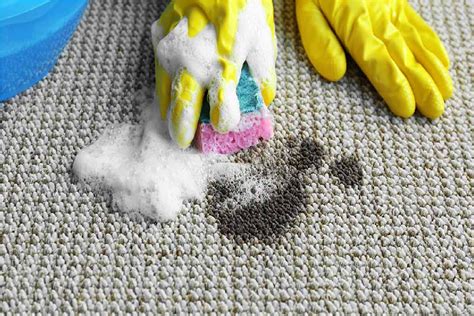 6 Best Homemade Carpet Cleaner (diy)