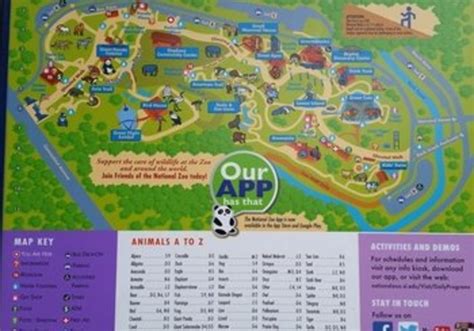 Visit Smithsonian Zoo in Washington D.C. with your family! | Macaroni KID Harrisburg and West Shore