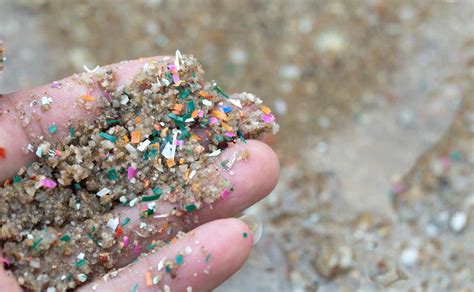 What Are Microplastics, Are They Harmful In Our Bodies & How to Avoid?