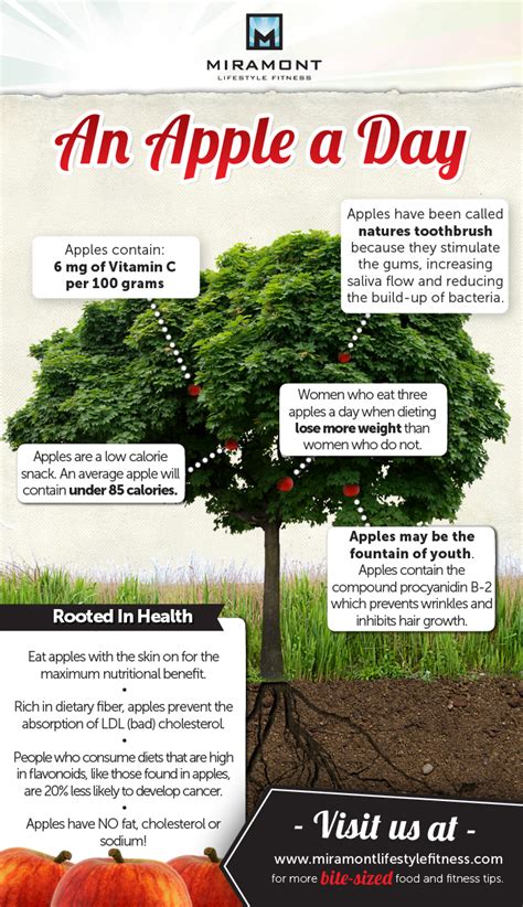 Surprising Apple Benefits Infographic – NaturalON - Natural Health News and Discoveries