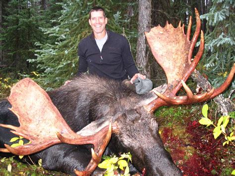 Hunting in Alaska: How To Field Judge a Moose - Top End Adventures