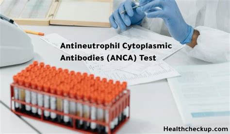 Antineutrophil Cytoplasmic Antibodies (ANCA) Test - Health CheckUp