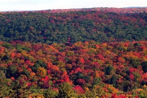 Fall Colors at Algonquin Park and Oxtongue Lake