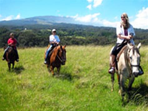 The Piiholo Ranch Horseback Riding Makawao Maui is Hawaii Horseback Riding at it's best. Reserve ...