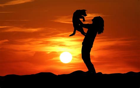 Sunset Dog Love Silhouette Free Stock Photo - Public Domain Pictures