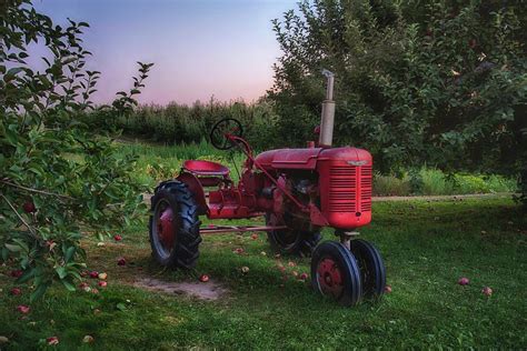 Red Farmall Tractor by Joann Vitali | Farmall tractors, Tractors, Farmall