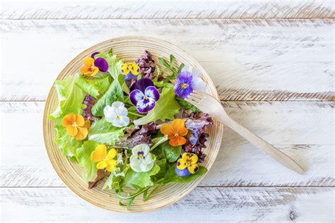 Best Edible Flowers: 23 Types To Try Gardeningetc, 58% OFF