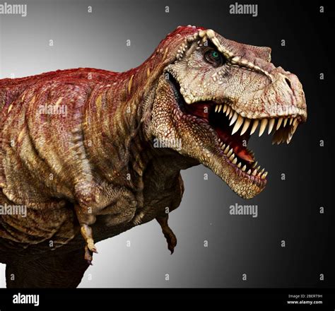 Side view tyrannosaurus rex dinosaur immagini e fotografie stock ad ...