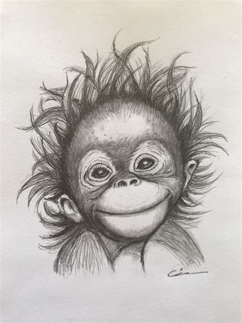 Monkey drawing | Dieren tekenen, Kunst ideeën tekenen, Leer tekenen