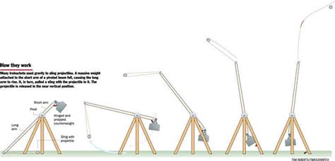 Catapult & Trebuchet - Ancient TECHNOLOGY