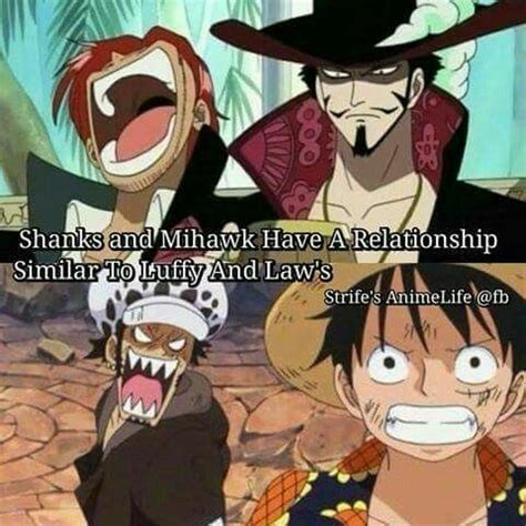 Shanks and Mihawk have a relationship similar to Luffy's and Law's ...