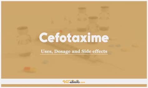 Cefotaxime Dose For Dogs & Cats | Vet Drugs List