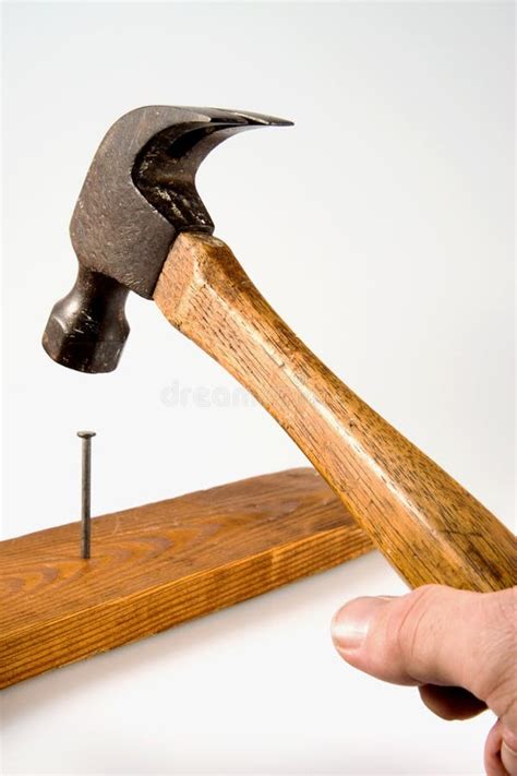 Hammering a Nail stock image. Image of galvanised, framing - 4469653