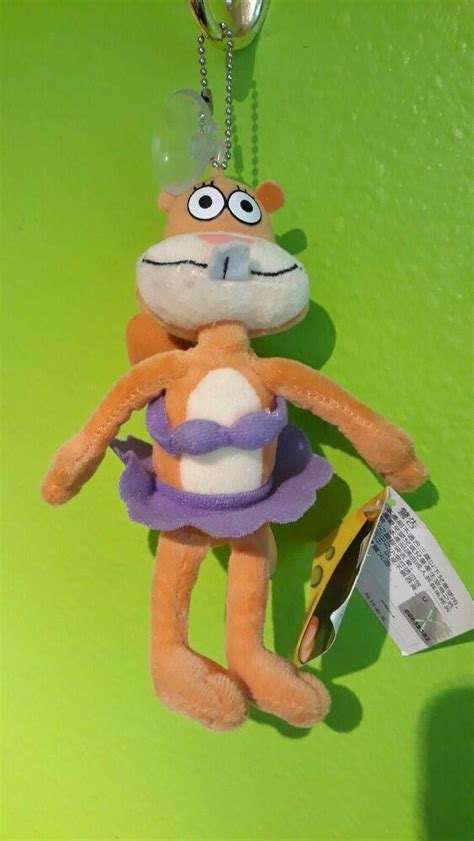 Looking to find more about this Sandy Cheeks plush : r/HelpMeFind