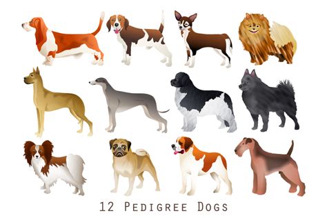 Pedigree Dog Breeds Animal Clipart Set By Prawny | TheHungryJPEG