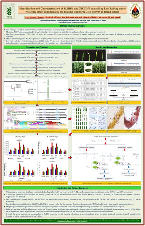 (PDF) Identification and Characterization of TaZHD1 and TaZHD10 ...